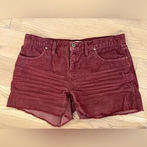 Carve Designs Oahu Shorts, Size 8